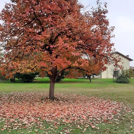 Konukevi “al Campo” Verona