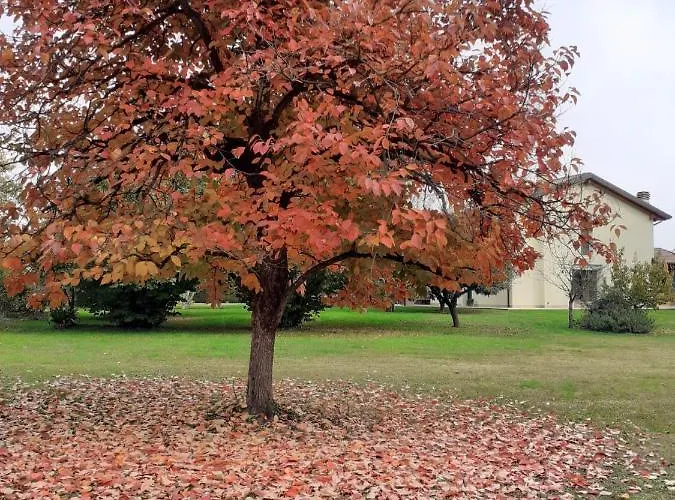 Guest house “al Campo” Verona