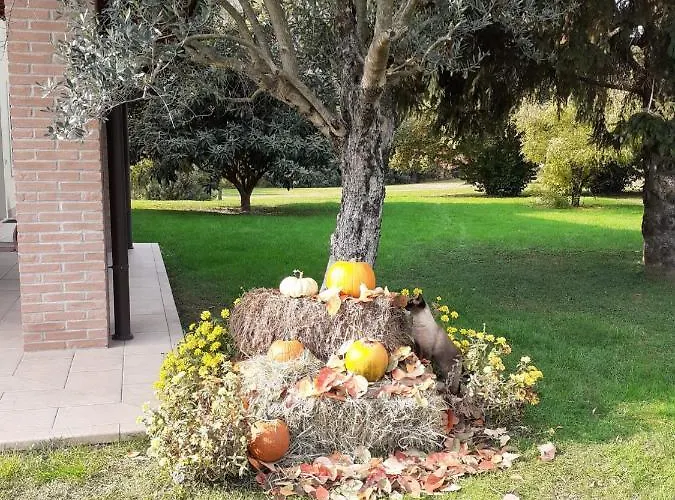 בית הארחה “al Campo”