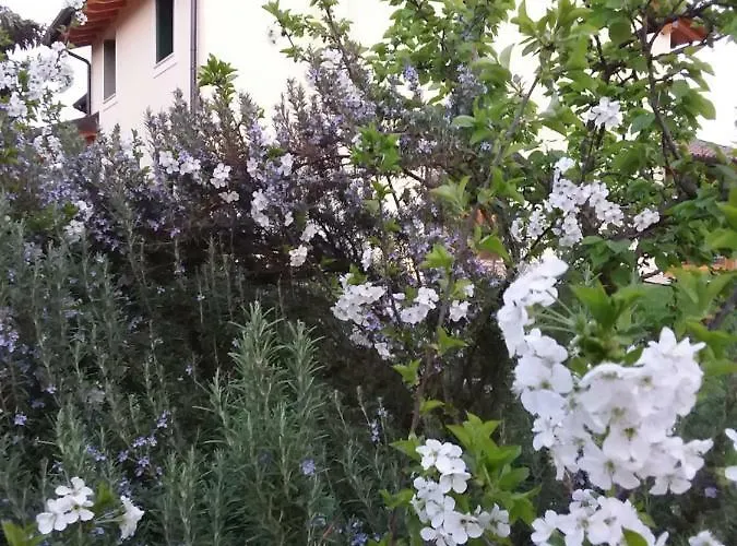 Guest house “al Campo” 3*