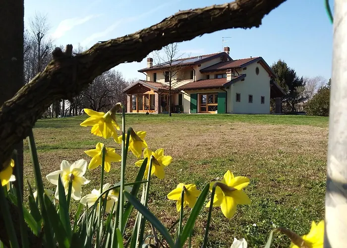 “al Campo” Verona