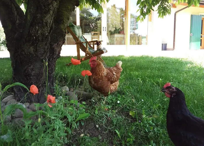 Guest house “al Campo” 3*