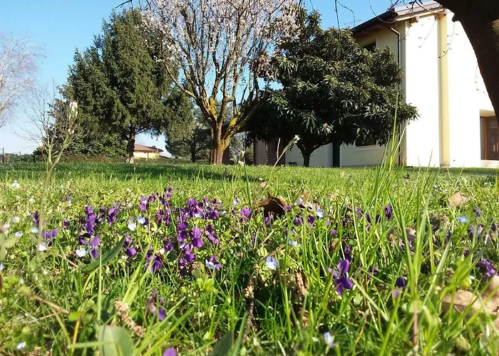 בית הארחה “al Campo” ורונה