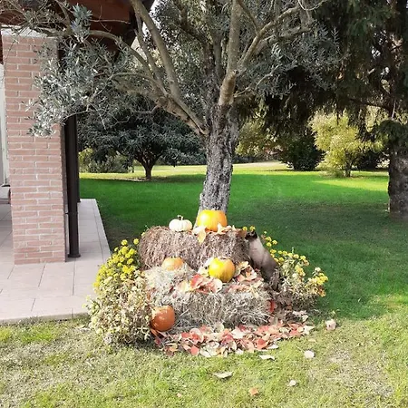 Guest house “al Campo”
