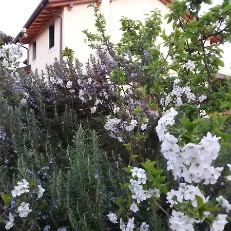 Guest house “al Campo” *