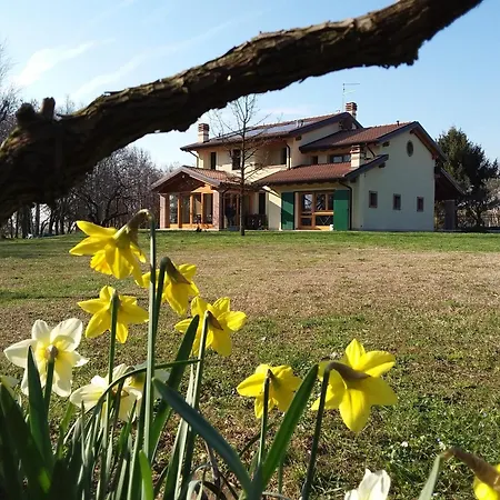 “al Campo” Verona