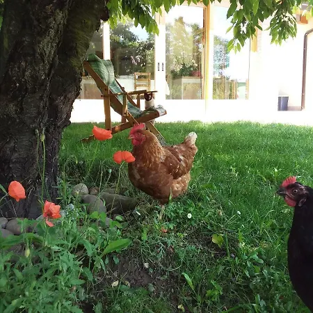 Πανσιόν “al Campo” 3*